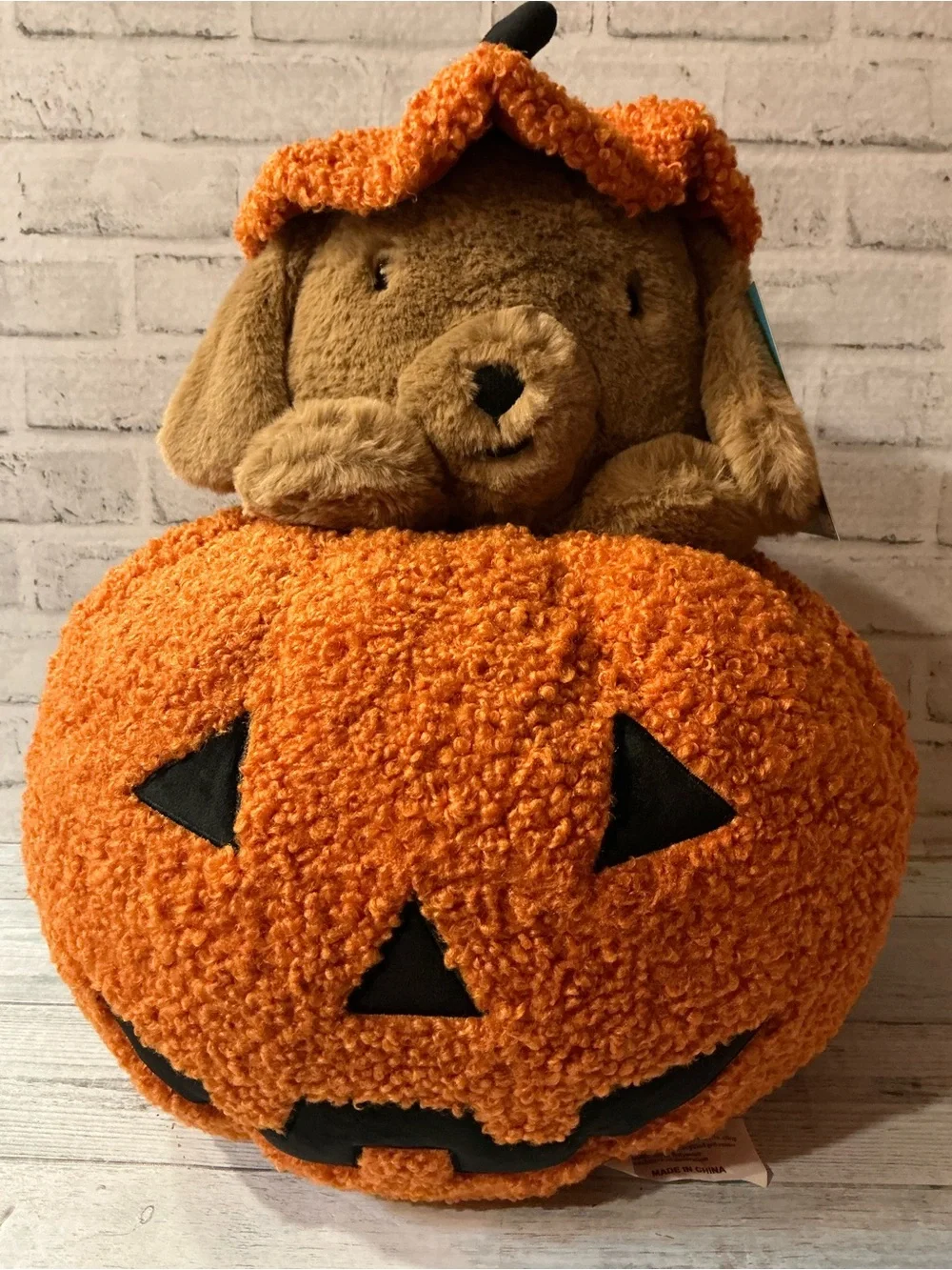HUMANE SOCIETY 21x18 peek a boo halloween dog pillow